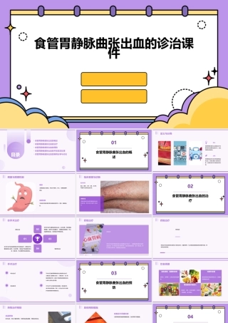 食管胃静脉曲张出血的诊治课件