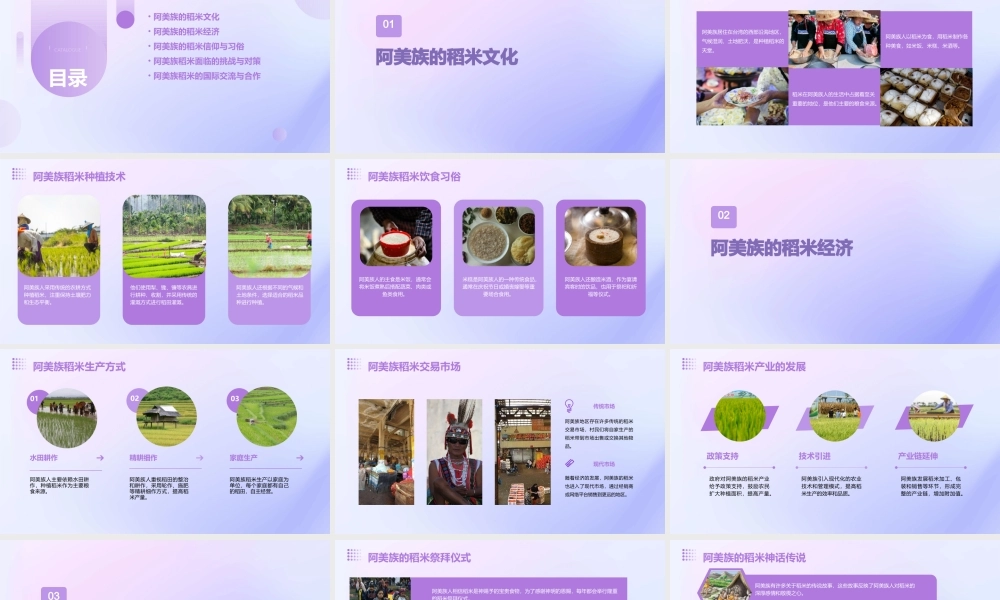 食阿美族以稻米课件