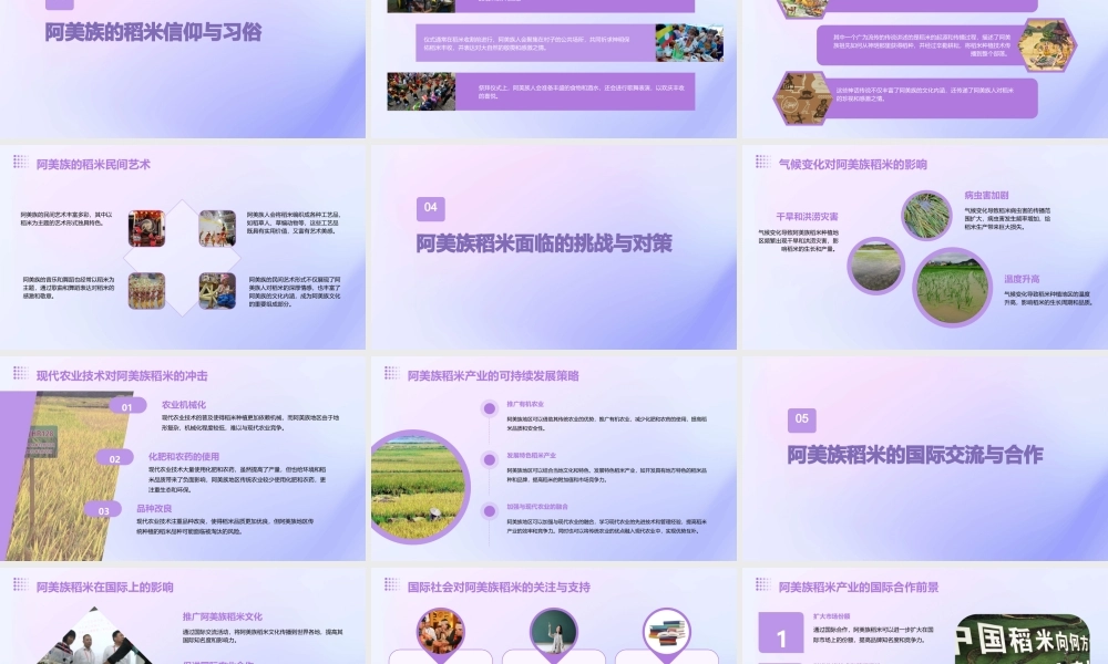 食阿美族以稻米课件