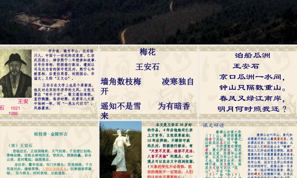 游褒禅山记陈雪(1)