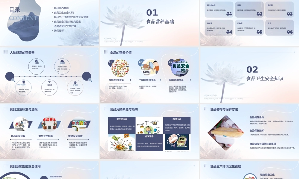 食品营养与卫生安全管理课件