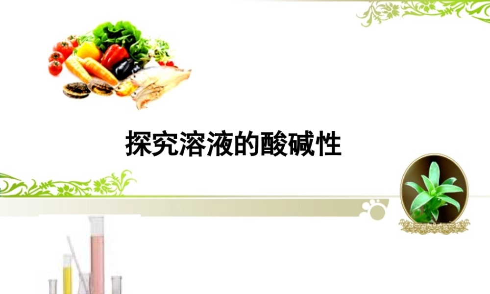探究溶液的酸碱性