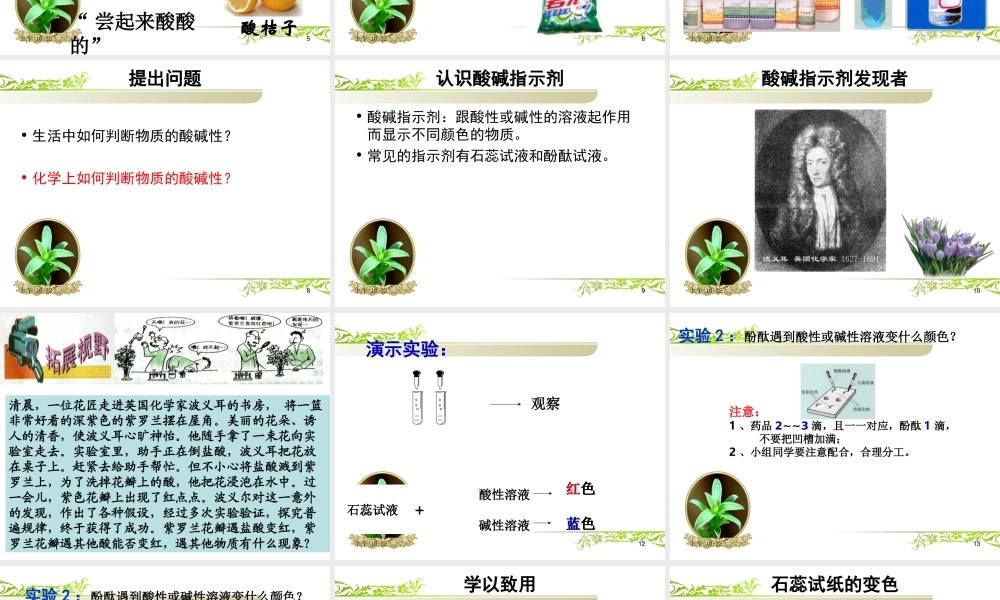 探究溶液的酸碱性