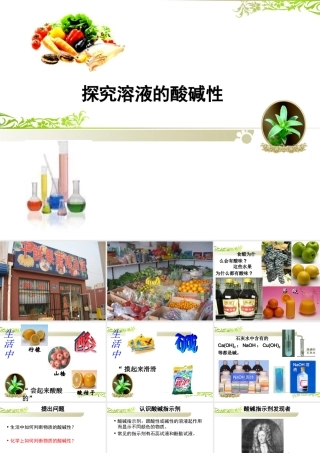 探究溶液的酸碱性