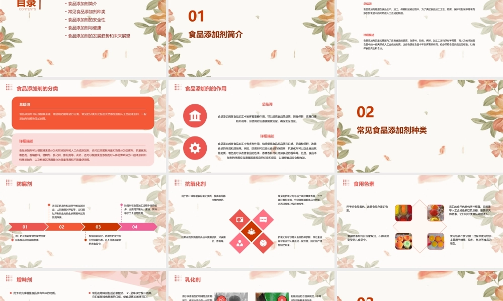 食品添加剂模块一食品添加剂基础知识课件
