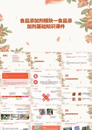 食品添加剂模块一食品添加剂基础知识课件