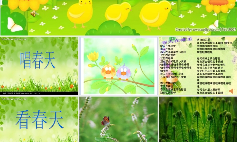 春天在哪里(口语交际课)(1)