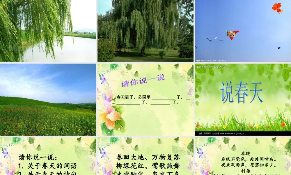 春天在哪里(口语交际课)(1)