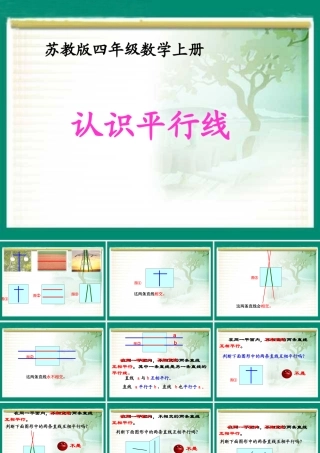 《认识平行线》课件