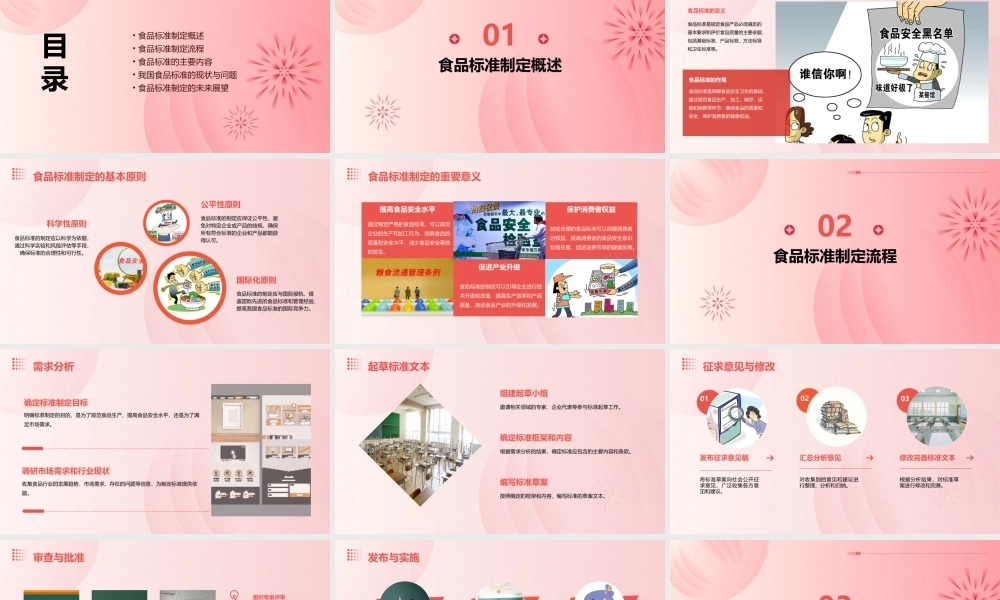 食品标准的制定课件