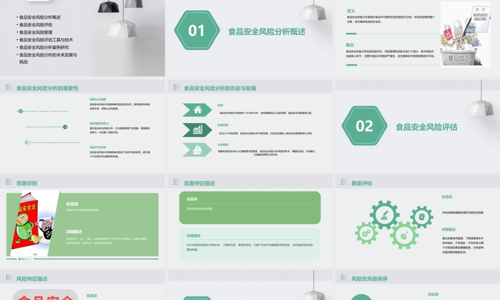 食品安全风险分析框架课件