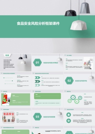 食品安全风险分析框架课件