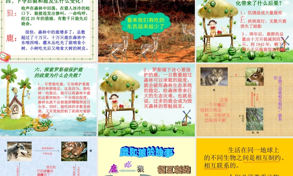 鹿和狼的故事课件 (2)