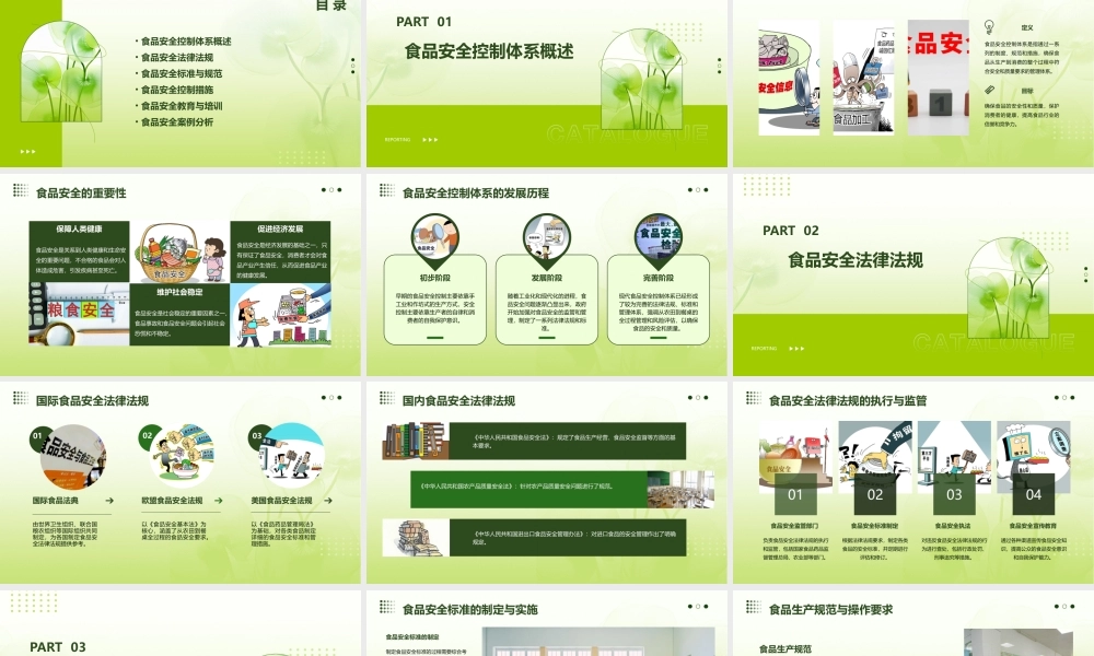 食品安全控制体系新课件
