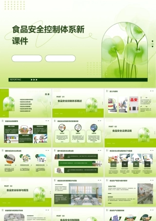 食品安全控制体系新课件