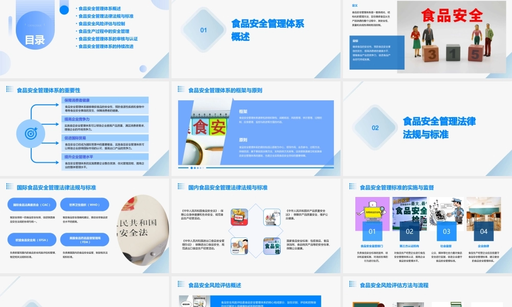 食品安全管理体系第七节课件