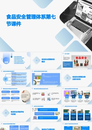 食品安全管理体系第七节课件