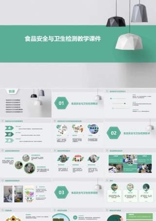 食品安全与卫生检测教学课件