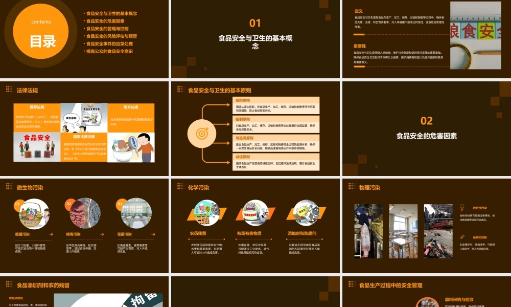 食品安全与卫生资料课件
