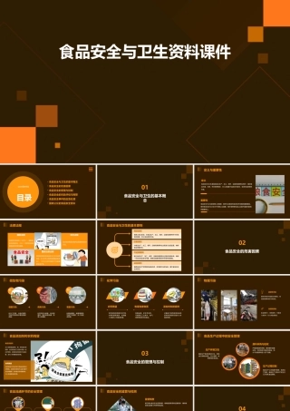 食品安全与卫生资料课件