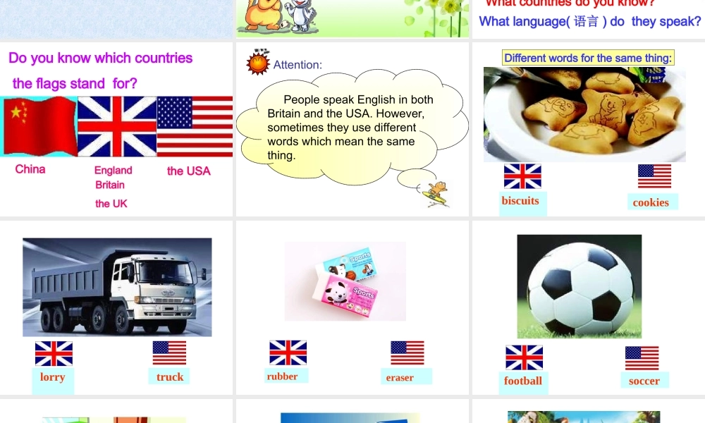 牛津译林版+八年级英语+上册+课件+Unit2+School+life+Welcome+to+the+unit（共34张PPT）（共34张PPT）