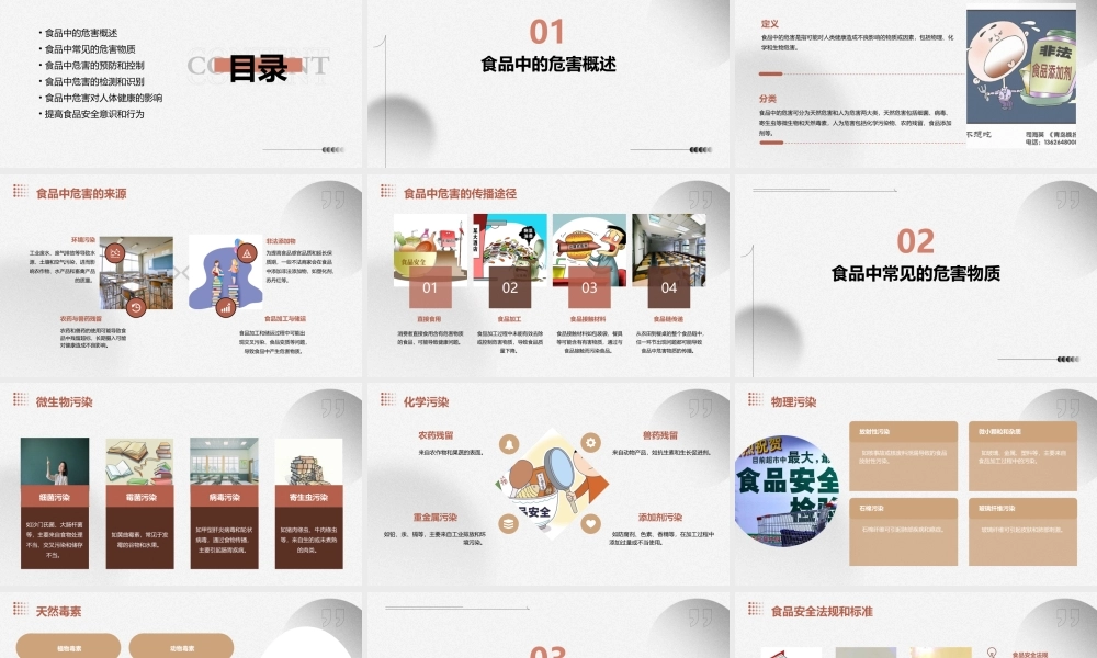 食品中的危害资料课件