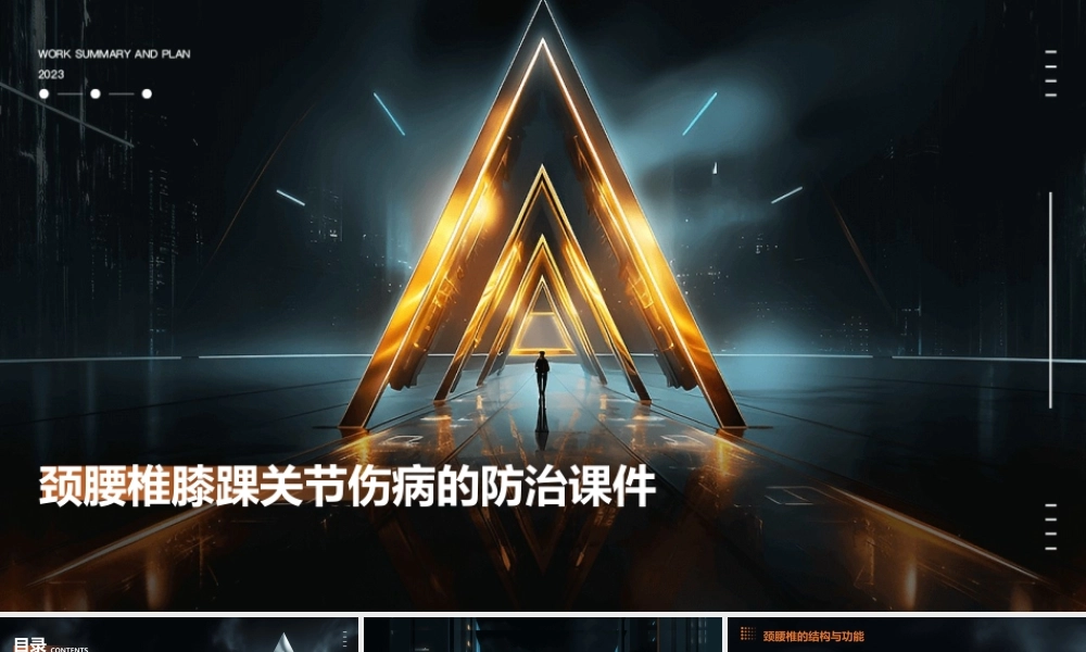 颈腰椎膝踝关节伤病的防治课件