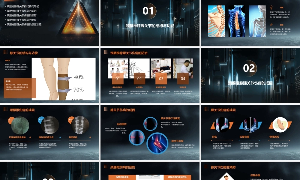 颈腰椎膝踝关节伤病的防治课件