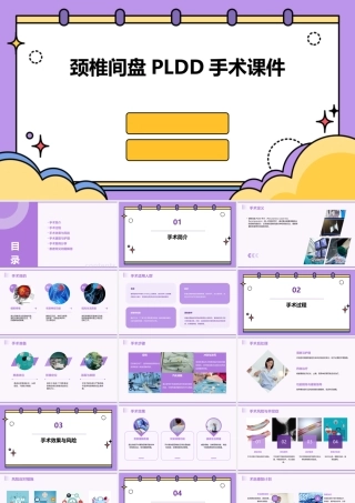 颈椎间盘PLDD手术课件