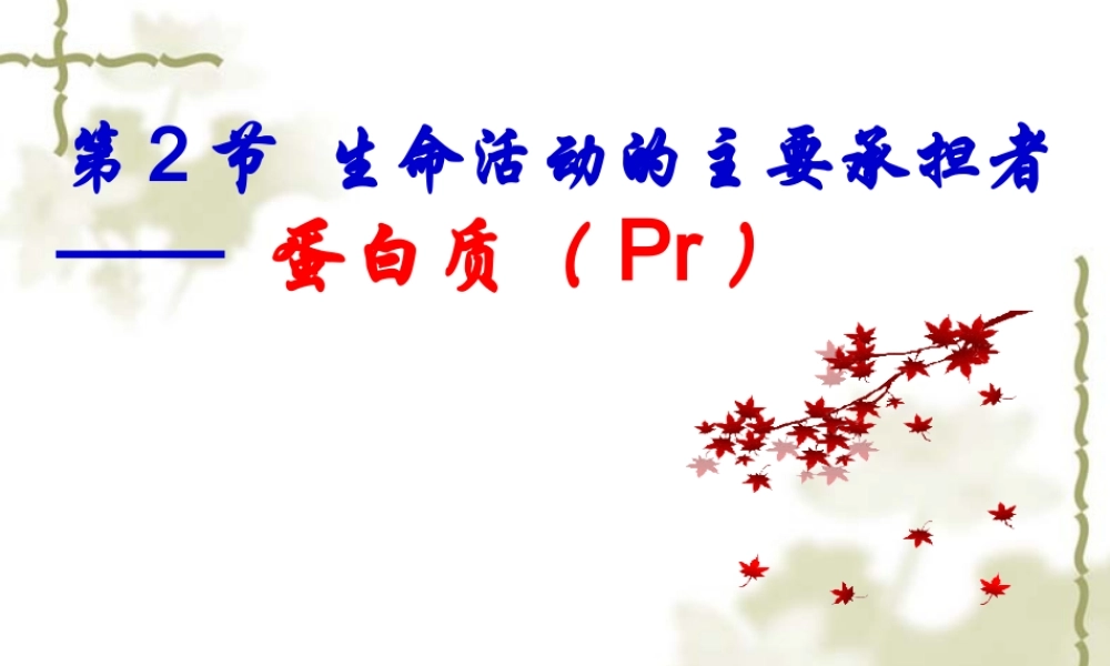 生命活动的主要承担者蛋白质课件