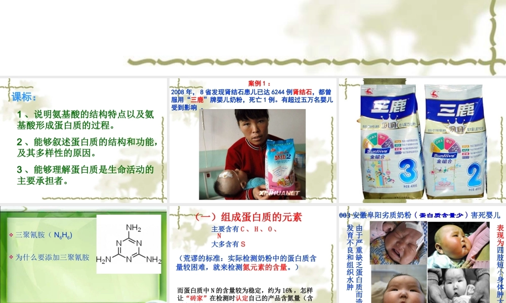 生命活动的主要承担者蛋白质课件