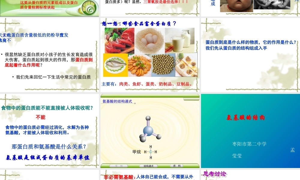 生命活动的主要承担者蛋白质课件