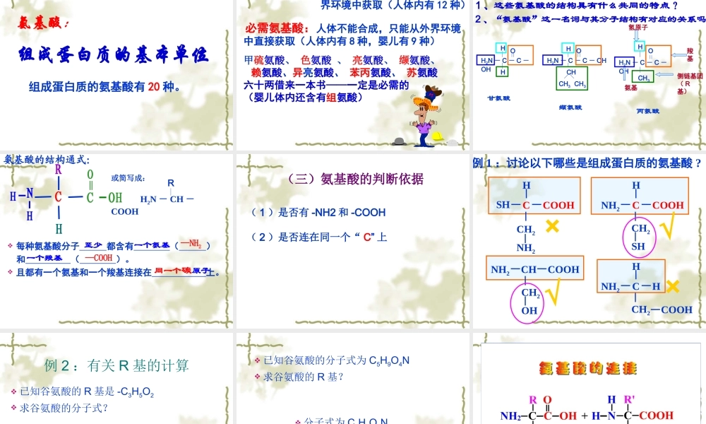 生命活动的主要承担者蛋白质课件