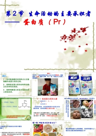 生命活动的主要承担者蛋白质课件
