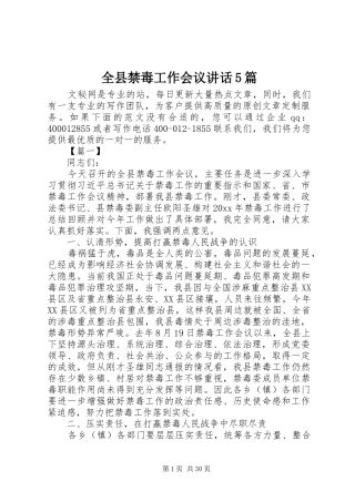 全县禁毒工作会议讲话5篇