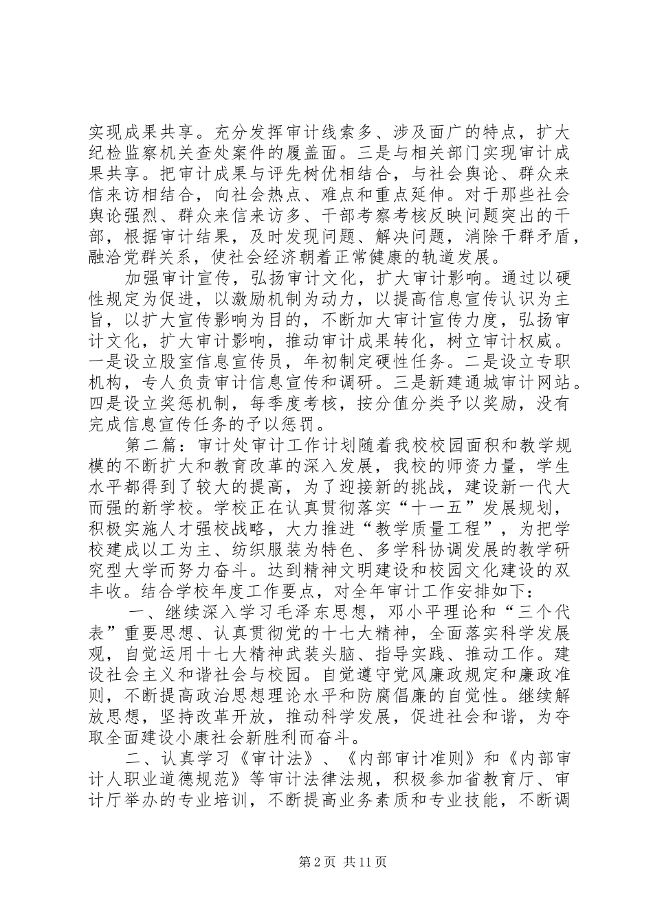 年初审计工作计划_第2页