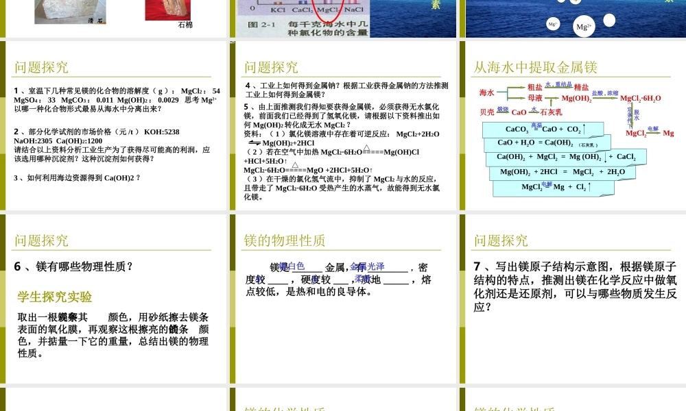 镁的提取及应用