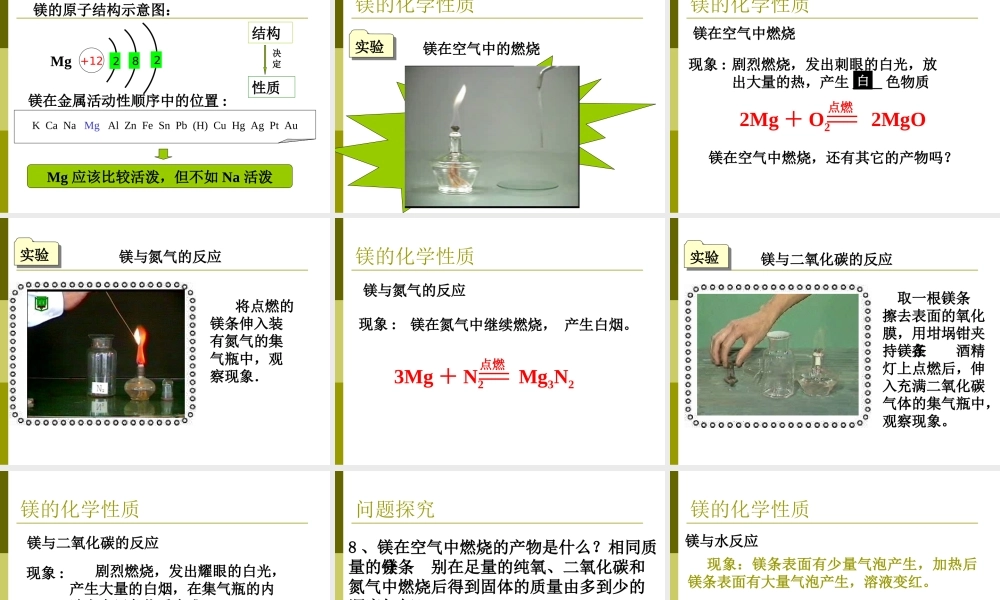 镁的提取及应用