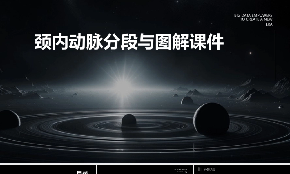 颈内动脉分段与图解课件
