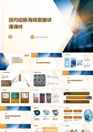 颈内动脉海绵窦瘘讲课课件