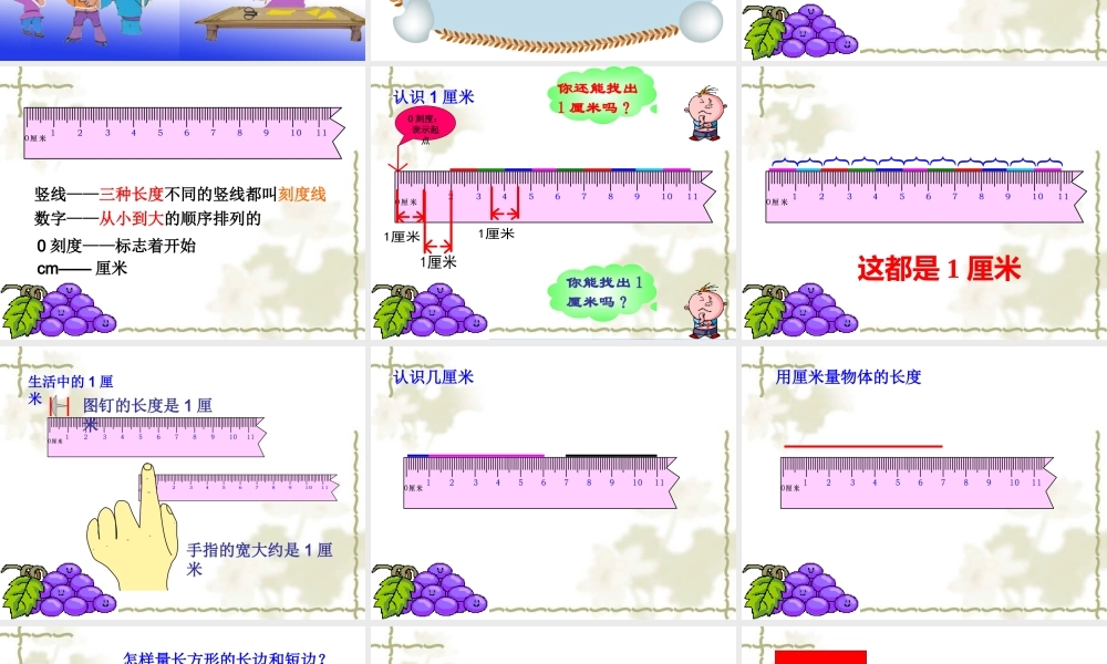 《厘米的认识》课件