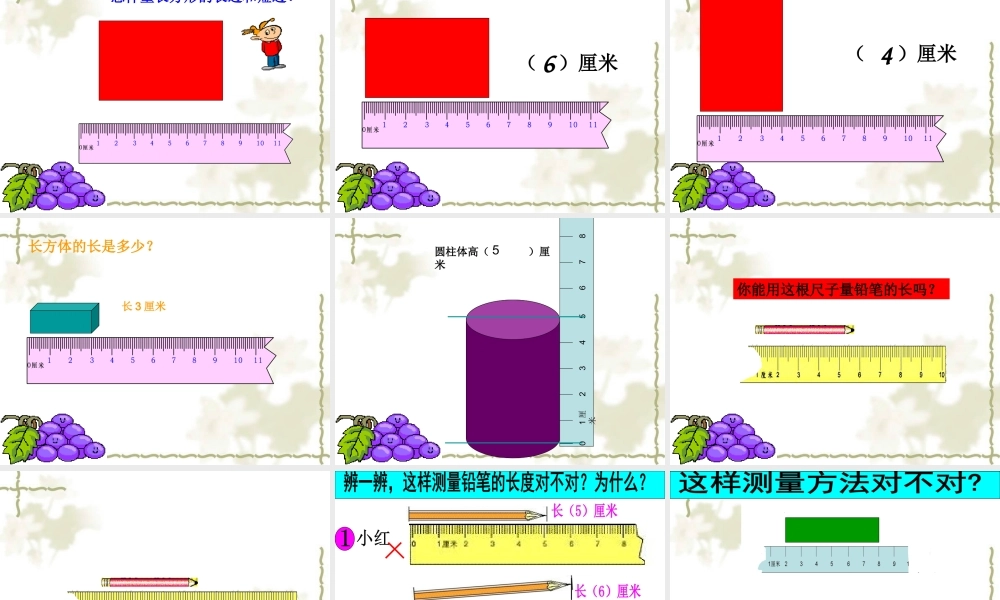《厘米的认识》课件