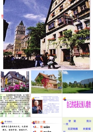 自己的花是给别人看的 (2)