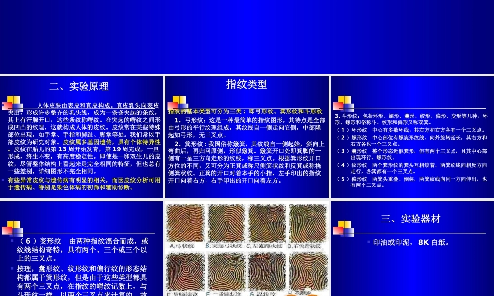 人体手部皮纹理遗传分析