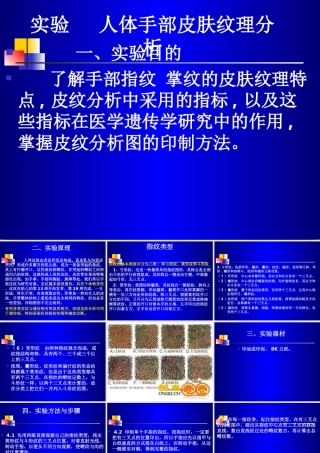 人体手部皮纹理遗传分析