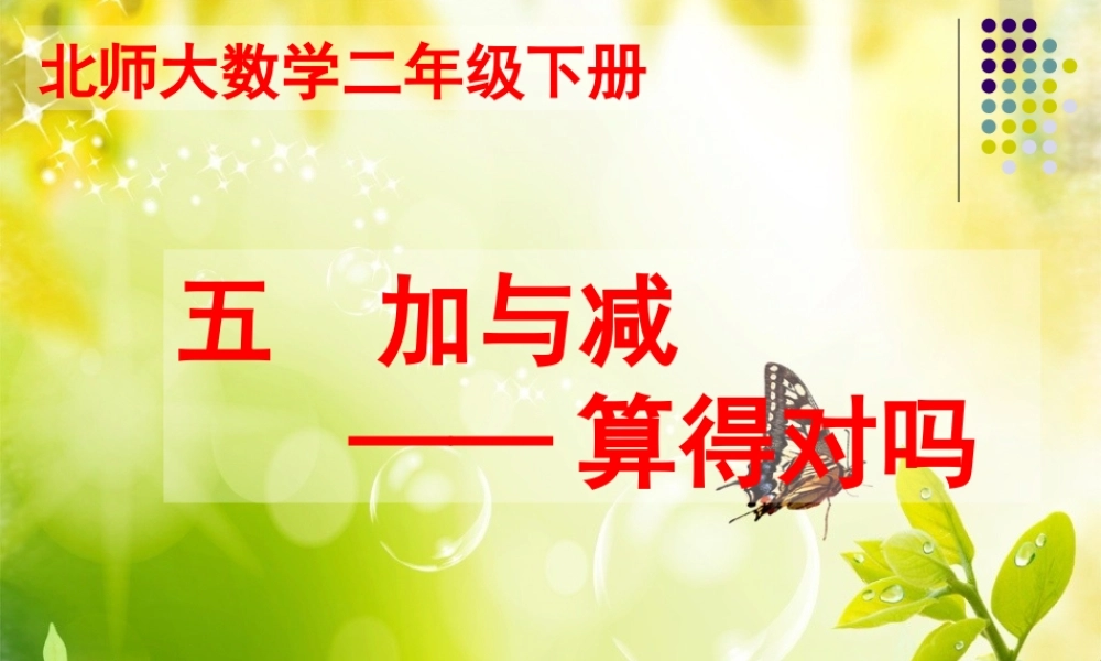 《算得对吗》教学课件