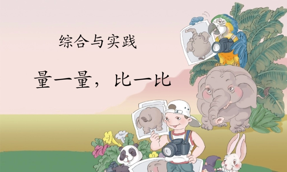 量一量，比一比 (2)