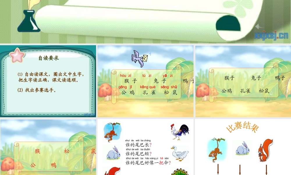 跨越百年的美丽(2)