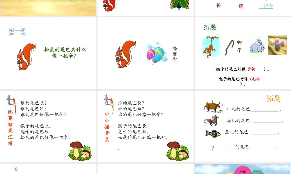 跨越百年的美丽(2)