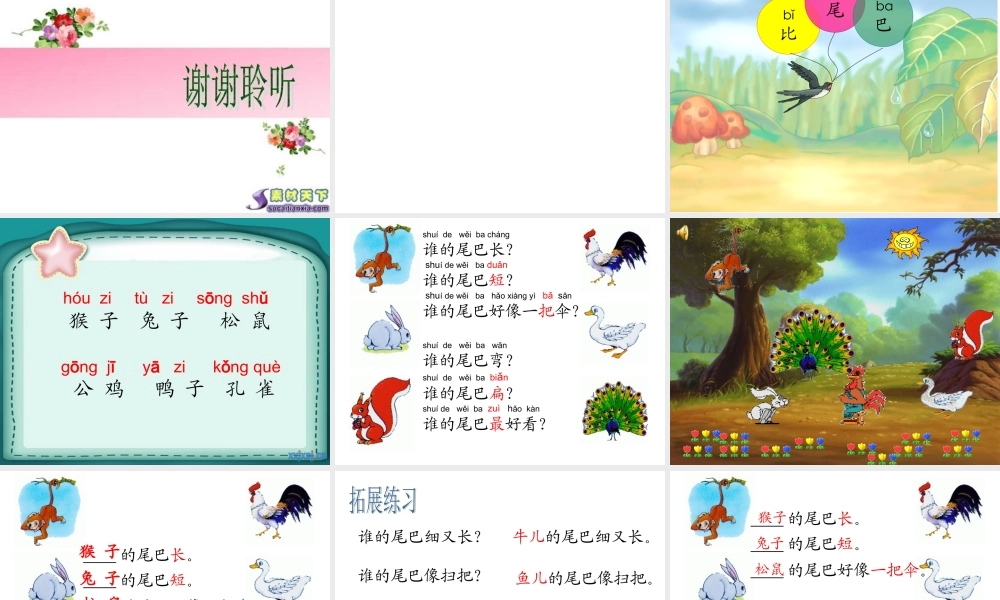 跨越百年的美丽(2)